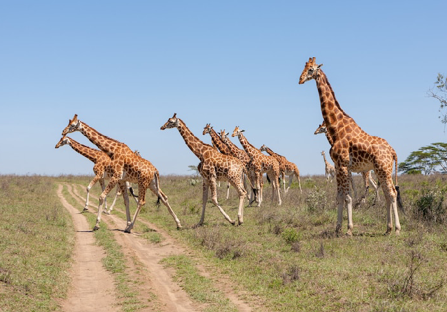 South Africa Group Tour